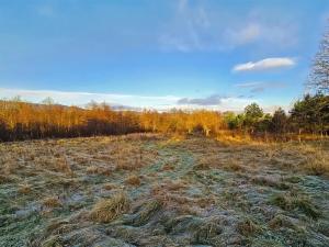 Prodej pozemku pro bydlení, Žandov, 3647 m2