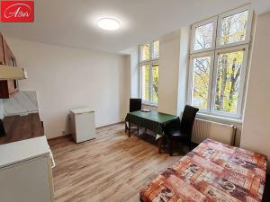 Pronájem bytu 2+1, Teplice, U Hadích lázní, 52 m2