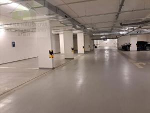 Pronájem bytu 4+kk, Praha - Žižkov, Krásova, 110 m2