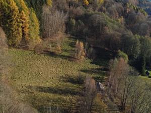 Prodej pozemku pro bydlení, Svoboda nad Úpou, Sluneční stráň, 5827 m2