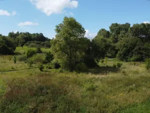 Dražba louky, Žlutice, 4670 m2