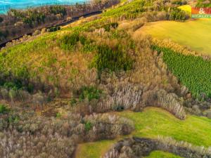 Prodej lesa, Dolní Třebonín - Štěkře, 1257 m2