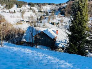 Prodej podílu chalupy, Pec pod Sněžkou, 250 m2