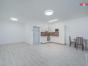 Pronájem bytu 1+kk, Olomouc, Wolkerova, 43 m2