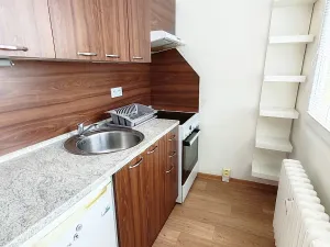 Pronájem bytu 1+1, Teplice, Zemská, 26 m2