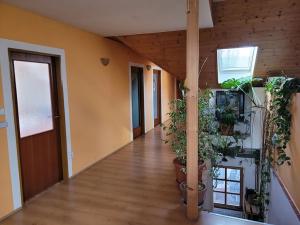 Prodej rodinného domu, Zlonín, Hlavní, 258 m2