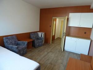 Pronájem bytu 1+kk, Brno, Heršpická, 23 m2