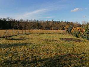 Pronájem rodinného domu, Plzeň, Pod Hradem, 160 m2