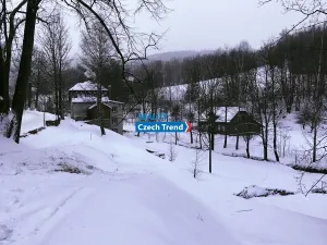 Pronájem chalupy, Zlaté Hory, 100 m2