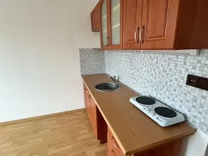 Pronájem bytu 1+kk, Děčín, Řetězová, 20 m2