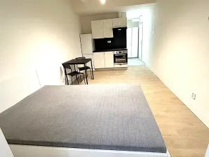 Pronájem bytu 1+kk, Praha - Nusle, Na bitevní pláni, 27 m2