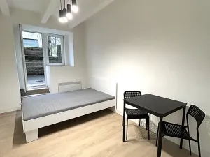 Pronájem bytu 1+kk, Praha - Nusle, Na bitevní pláni, 27 m2