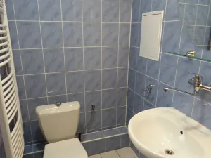 Pronájem bytu 1+kk, Brno, Heršpická, 23 m2