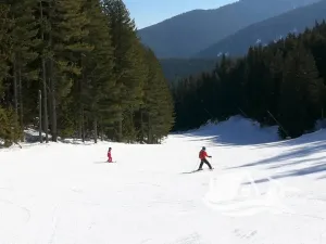 Prodej bytu 1+kk, Bansko, Bulharsko, 43 m2