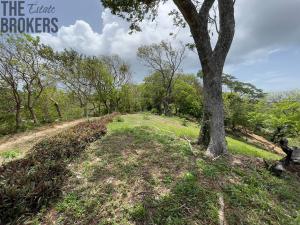 Prodej pozemku, Jonesville, José Santos Guardiola, Honduras, 1594 m2