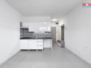 Pronájem bytu 1+kk, Ústí nad Labem - Ústí nad Labem-centrum, SNP, 21 m2