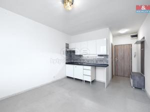 Pronájem bytu 1+kk, Ústí nad Labem - Ústí nad Labem-centrum, SNP, 21 m2