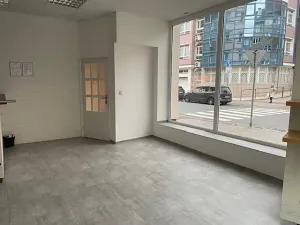 Pronájem obchodního prostoru, Přerov, Smetanova, 41 m2