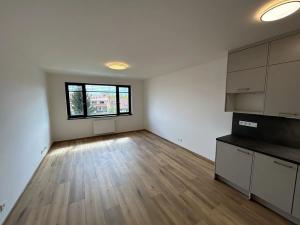 Pronájem bytu 1+kk, Písek, Pražská, 38 m2