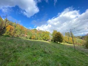 Prodej rodinného domu, Pržno, 90 m2