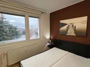 Pronájem bytu 1+1, Zlín, Větrná, 34 m2