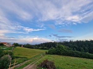 Prodej pozemku pro bydlení, Vyšehořovice, 957 m2