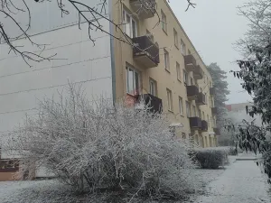 Prodej bytu 2+1, Kolín, V Břízách, 57 m2