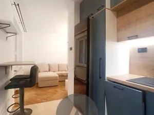 Pronájem bytu 2+kk, Brno, Došlíkova, 52 m2