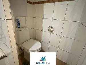 Pronájem bytu 1+kk, Teplice, Alejní, 33 m2