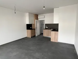 Pronájem bytu 1+kk, Znojmo, Třešňová, 37 m2