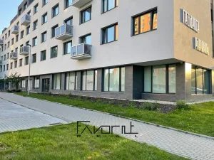 Pronájem bytu 4+kk, Ostrava, Pavlovova, 100 m2