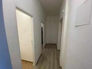 Pronájem bytu 1+1, Město Albrechtice, 37 m2