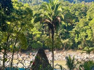 Prodej rodinného domu, La Ceiba, Honduras, 4080 m2