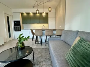 Pronájem bytu 2+kk, Brno, Trnitá, 60 m2