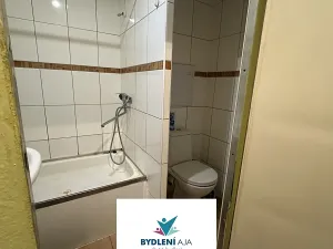 Pronájem bytu 1+kk, Teplice, Alejní, 33 m2