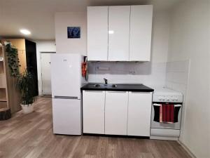 Prodej bytu 1+kk, Litoměřice, Revoluční, 43 m2