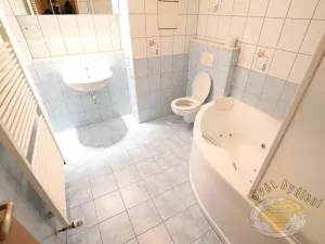 Pronájem bytu 1+kk, Praha - Košíře, Pod školou, 50 m2