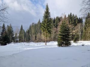 Prodej pozemku pro bydlení, Železná Ruda, 710 m2