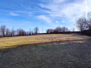 Prodej pole, Nezdice na Šumavě - Pohorsko, 6824 m2