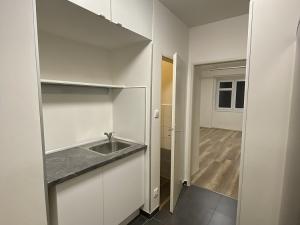 Pronájem bytu 2+kk, Praha - Vysočany, 52 m2