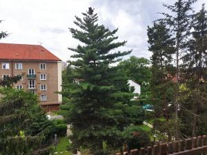 Pronájem bytu 2+kk, Praha - Strašnice, Černokostelecká, 45 m2