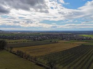 Prodej zahrady, Bělkovice-Lašťany, 4045 m2