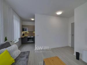 Pronájem bytu 2+kk, Cheb, Na Nivách, 42 m2