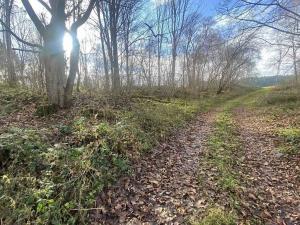 Dražba pozemku pro bydlení, Staré Město pod Landštejnem, 1074 m2