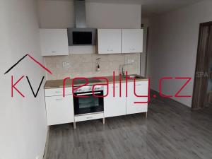 Pronájem bytu 1+1, Ostrov, 26 m2