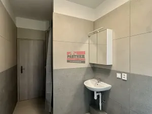 Pronájem bytu 3+kk, Lštění, Míru, 90 m2