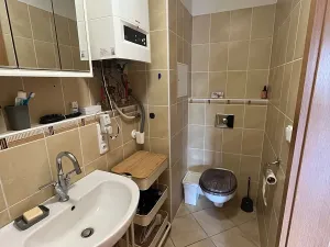 Pronájem bytu 1+kk, Brno, Podveská, 43 m2