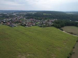 Prodej pozemku pro bydlení, Boršov nad Vltavou, 4920 m2