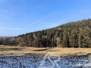 Prodej pozemku, Kašperské Hory - Tuškov, 16343 m2