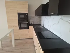 Pronájem bytu 3+kk, Praha - Žižkov, Basilejské náměstí, 93 m2